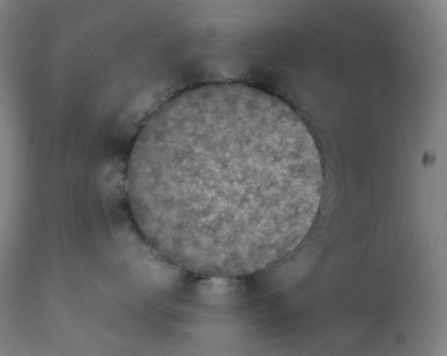 X0000112730672200909171128