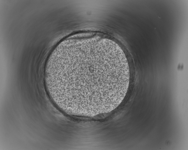X0000112730673200909171128