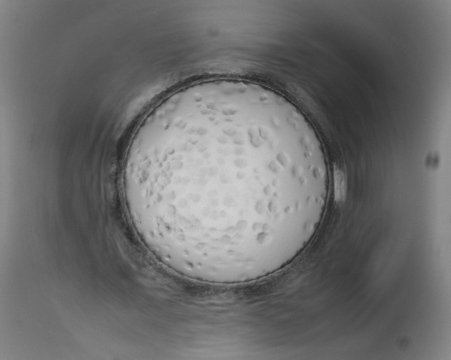 X0000112730675200909171128