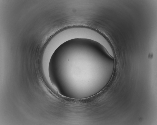 X0000112730677200909171128