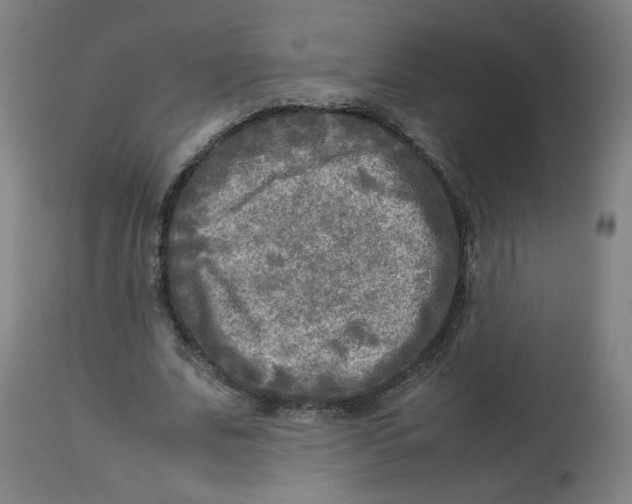 X0000112730679200909171128