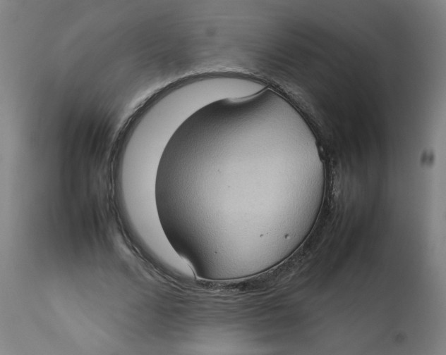 X0000112730680200909171128
