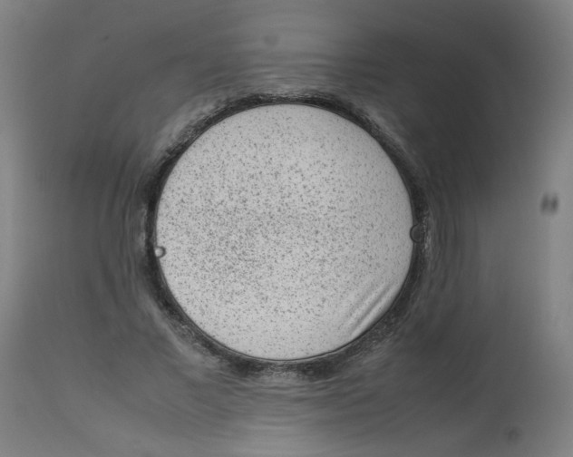 X0000112730685200909171128