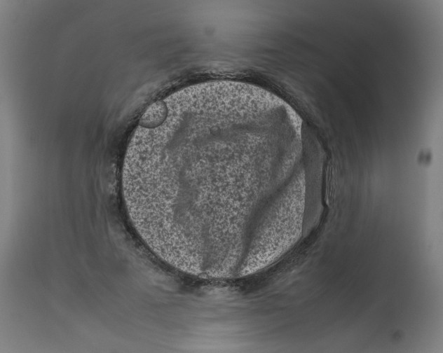 X0000112730689200909171127