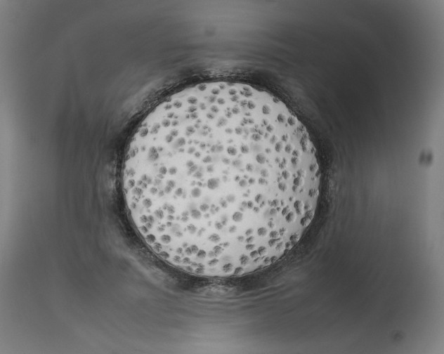 X0000112730691200909171127
