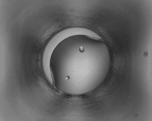 X0000112730696200909171127