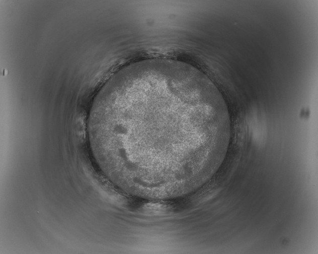 X0000112730699200909171127