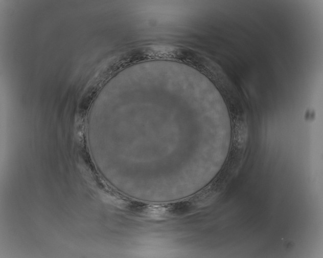 X0000112730701200909171127