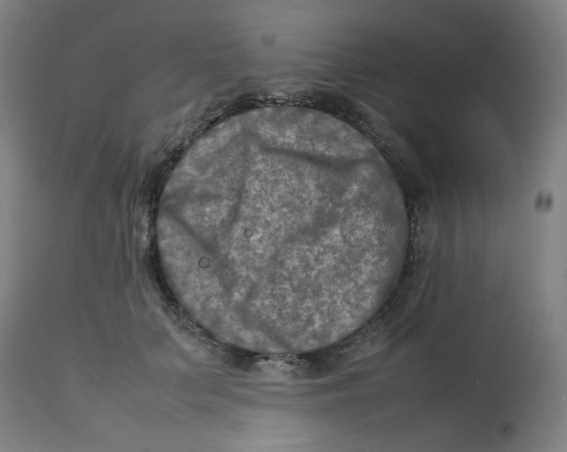 X0000112730703200909171127
