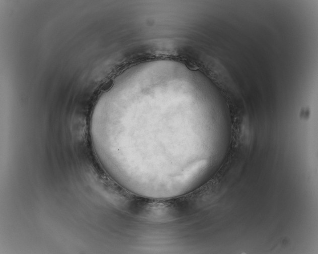 X0000112730704200909171127