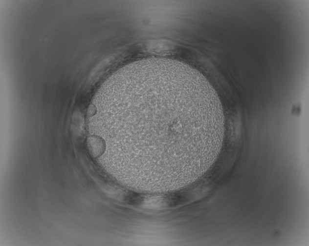 X0000112730705200909171127