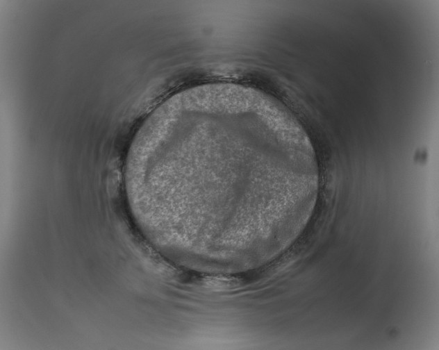 X0000112730707200909171127