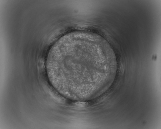 X0000112730711200909171127