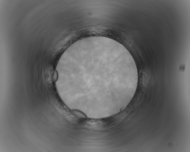 X0000112730712200909171127