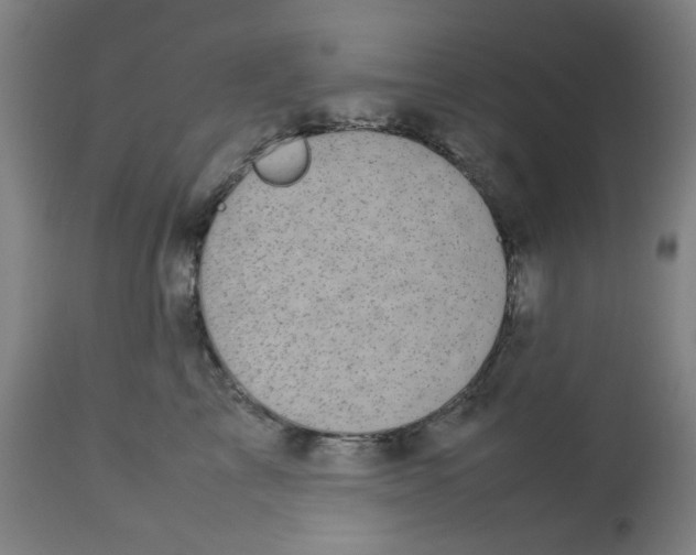 X0000112730713200909171127