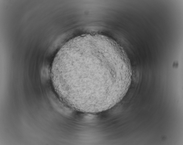 X0000112730718200909171127