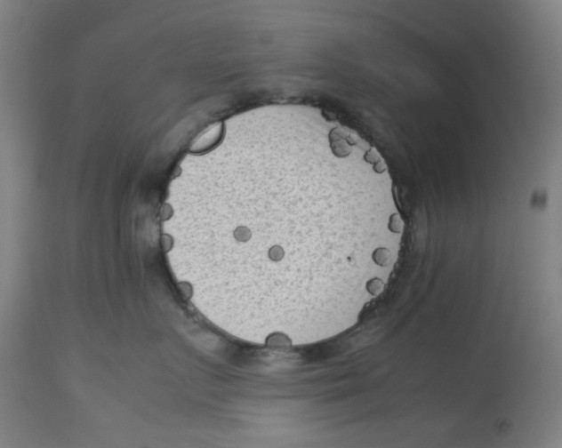 X0000112730719200909171127