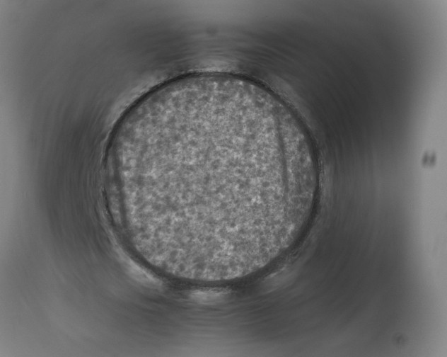 X0000112730721200909171126