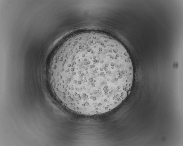 X0000112730722200909171126