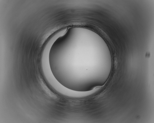 X0000112730725200909171126