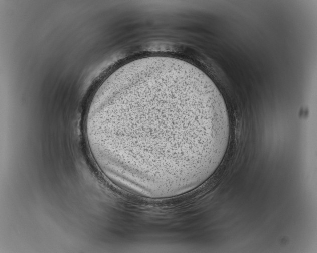 X0000112730727200909171126