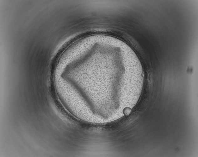 X0000112730728200909171126