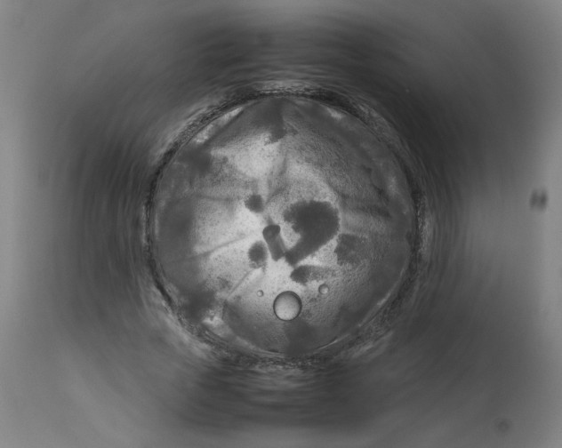 X0000112730729200909171126