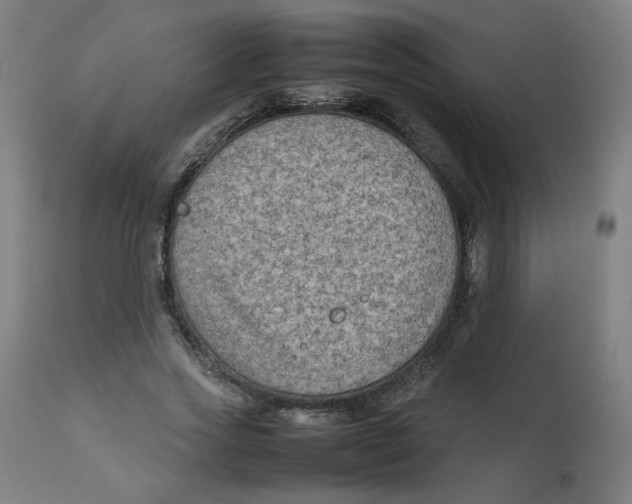 X0000112730733200909171127