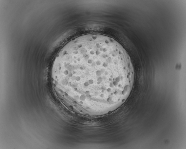 X0000112730735200909171127