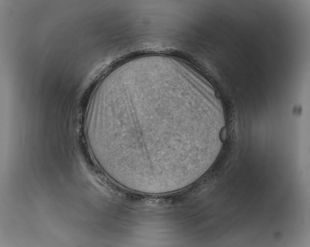 X0000112730736200909171127