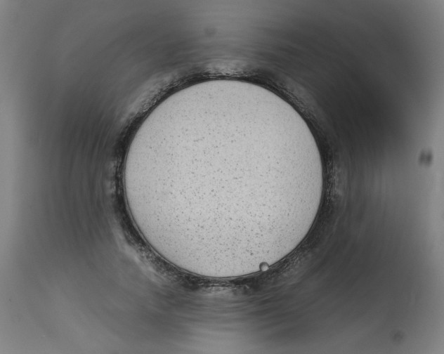 X0000112730738200909171127
