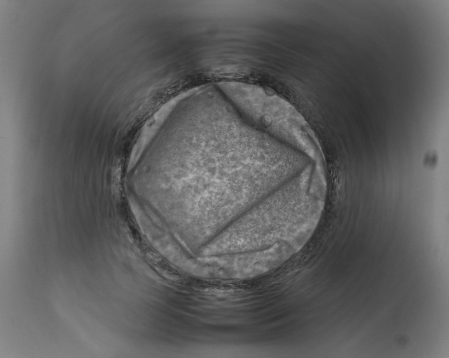 X0000112730745200909171127