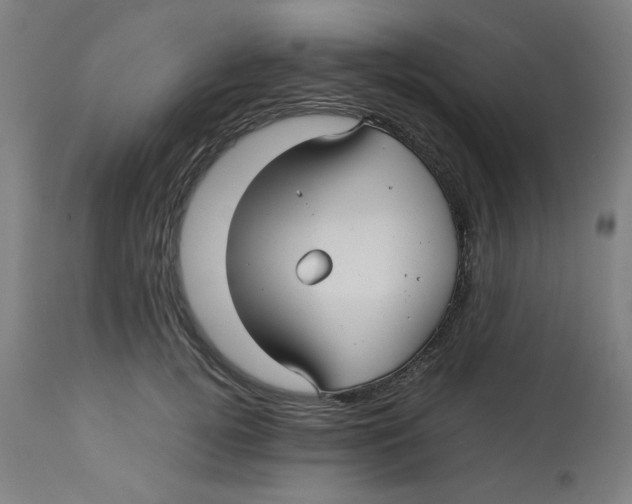 X0000112730752200909171127