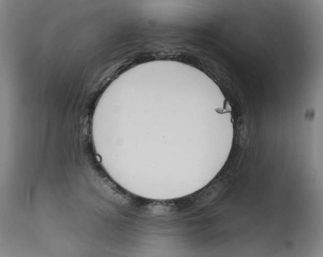 X0000112730756200909171127