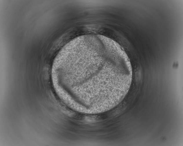 X0000112730757200909171127