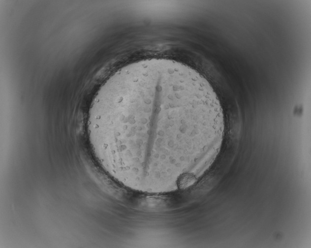 X0000112730758200909171127
