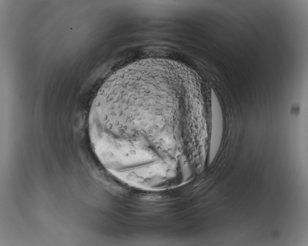 X0000112730759200909171127