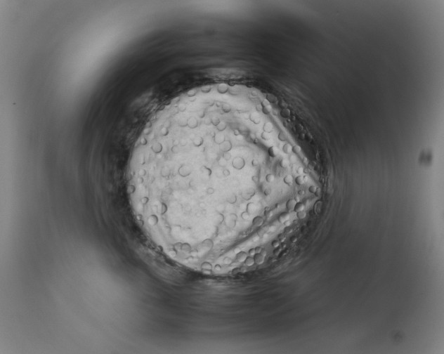 X0000112730763200909171127