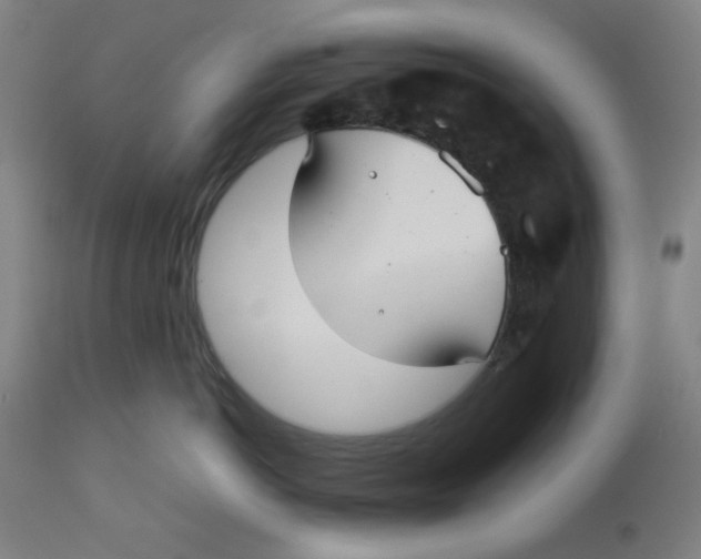 X0000112730766200909171127