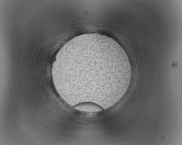 X0000112730768200909171127