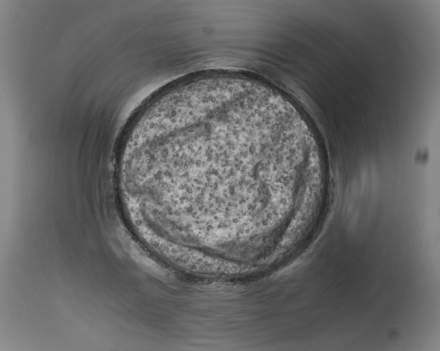 X0000112730779200909171126
