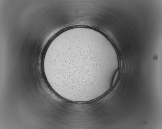X0000112730780200909171126