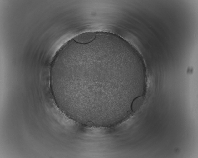 X0000112730781200909171126