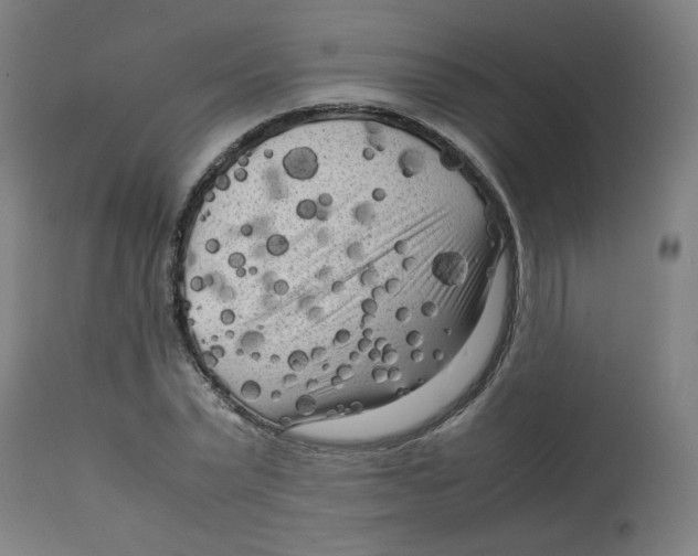 X0000112730783200909171126