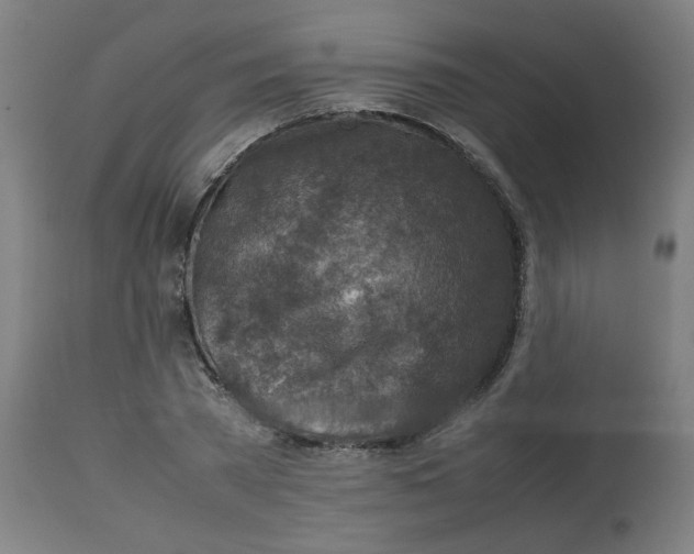 X0000112730785200909171126