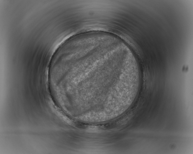 X0000112730790200909171126