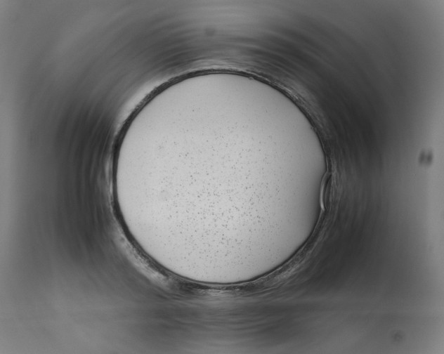 X0000112730796200909171126