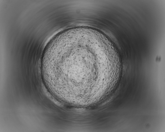 X0000112730798200909171126