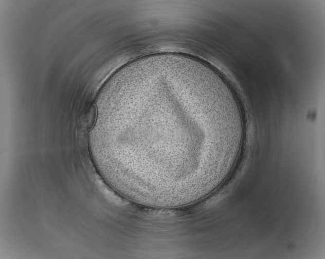 X0000112730801200909171126