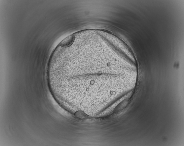 X0000112730803200909171126